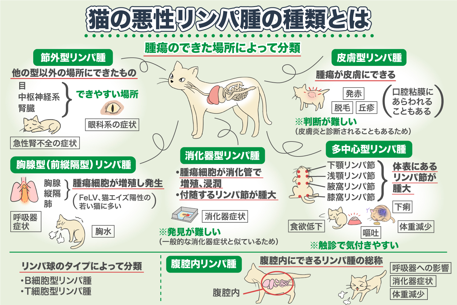 Types de lymphome malin chez le chat