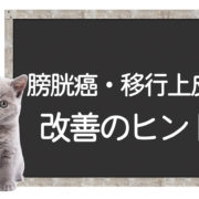 猫の膀胱癌、移行上皮癌の改善方法