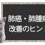 猫の肺癌の克服方法