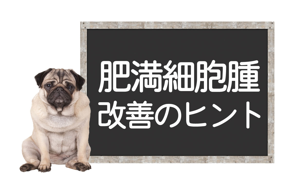 Tumeurs à mastocytes chez le chien – Causes, symptômes, méthodes de diagnostic, traitements, conseils pour l’amélioration et la guérison complèteイメージ