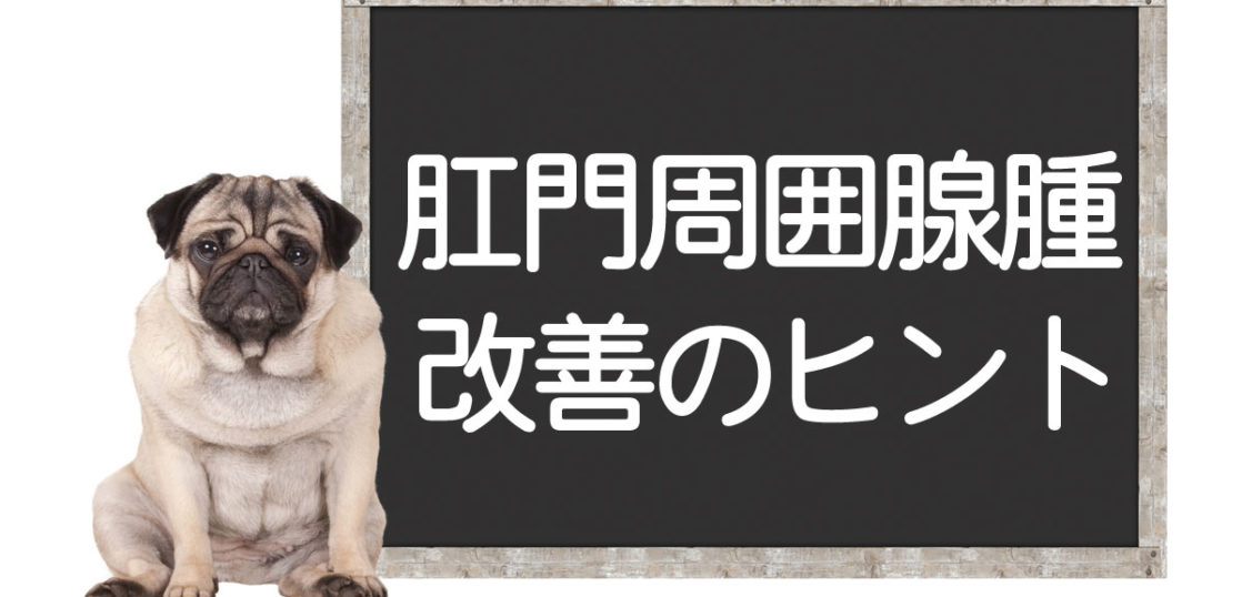 犬の肛門周囲腺腫の改善方法