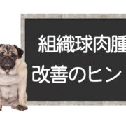 犬の組織球肉腫の改善方法