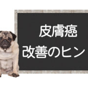 犬の皮膚癌の改善方法