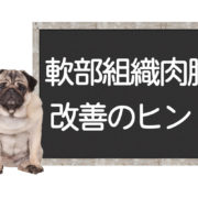 犬の軟部組織肉腫の改善方法