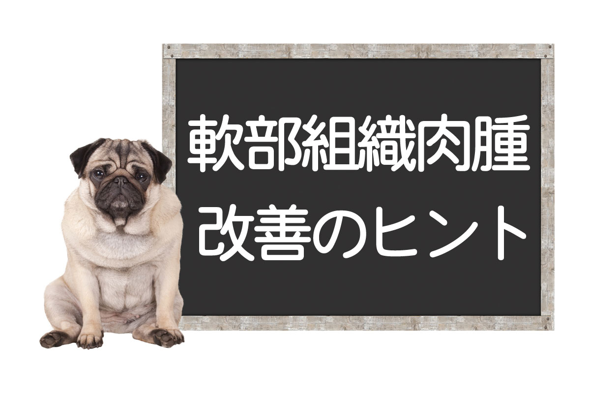 Sarcome des tissus mous chez le chien – Examen des tumeurs, chirurgie, traitements, conseils pour l’amélioration et la guérisonイメージ