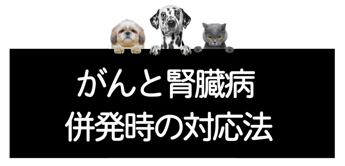 癌と肝臓病併発時の対応方法