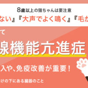 老化じゃなくて甲状腺機能六進症かも 療法食の導入や、免疫改善が重要！