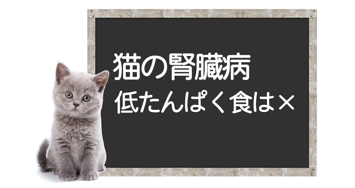 Maladie rénale chez les chats et régime pauvre en protéinesイメージ