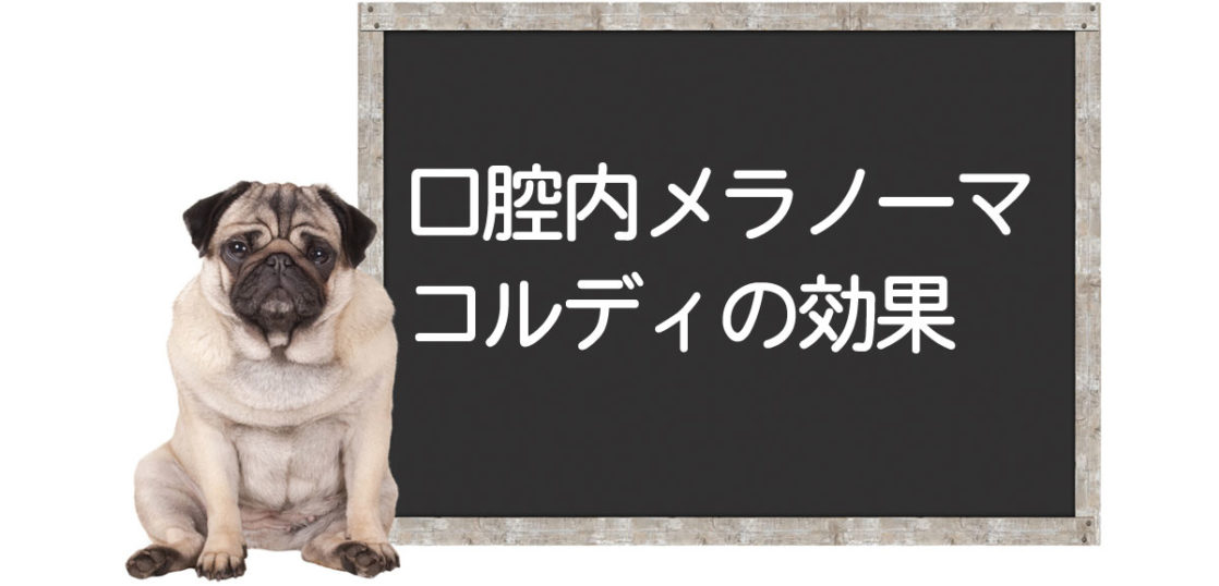 Administration de Cordy pour des chiens âgés atteints de mélanome buccal <Consultation avec le laboratoire>