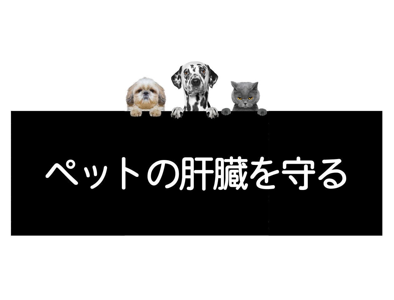 Méthodes de prévention de la détérioration de la fonction hépatique chez les chiens, les chats et les animaux de compagnie.イメージ