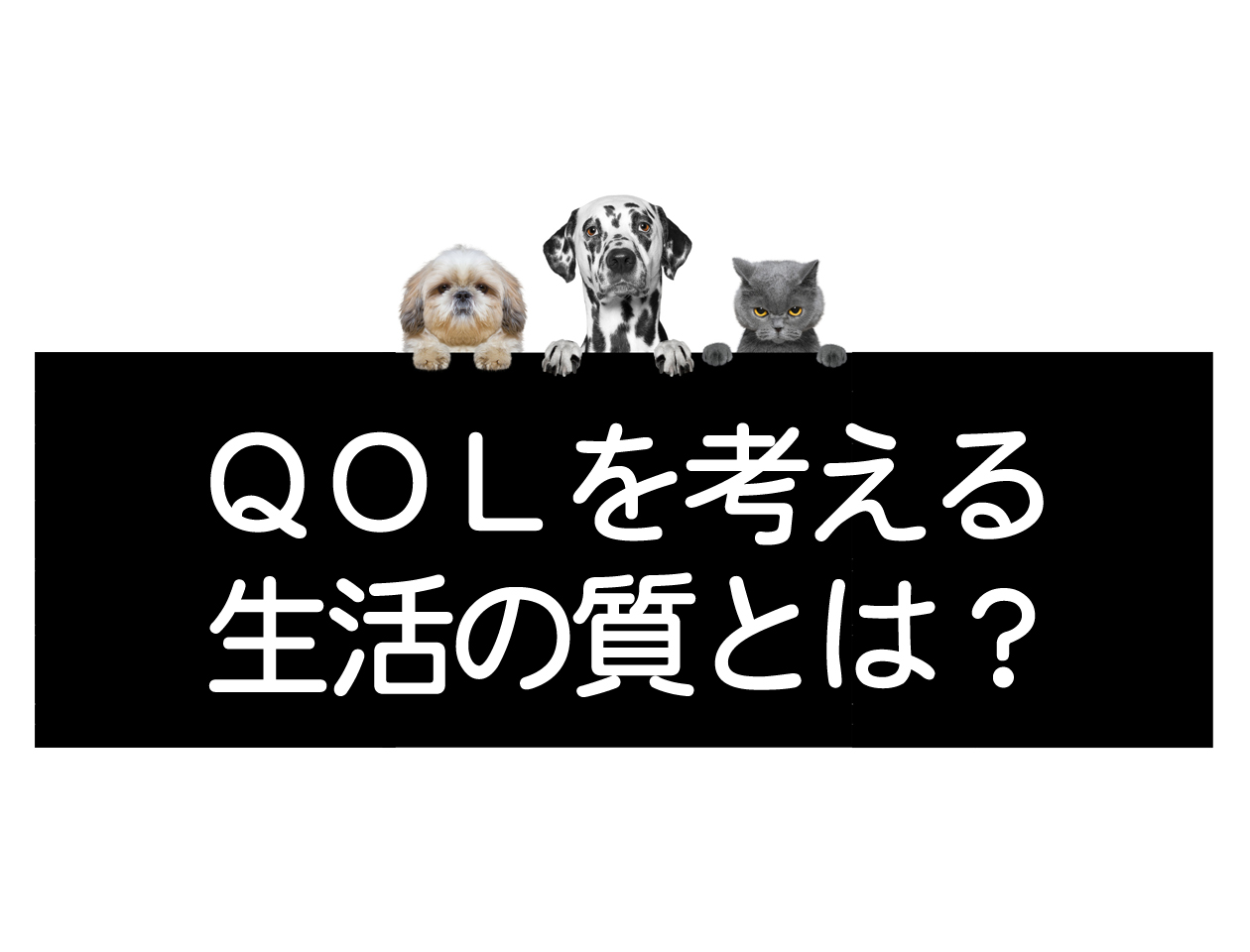 Qualité de vie (QOL) des chiens, des chats et des autres animaux de compagnie.イメージ