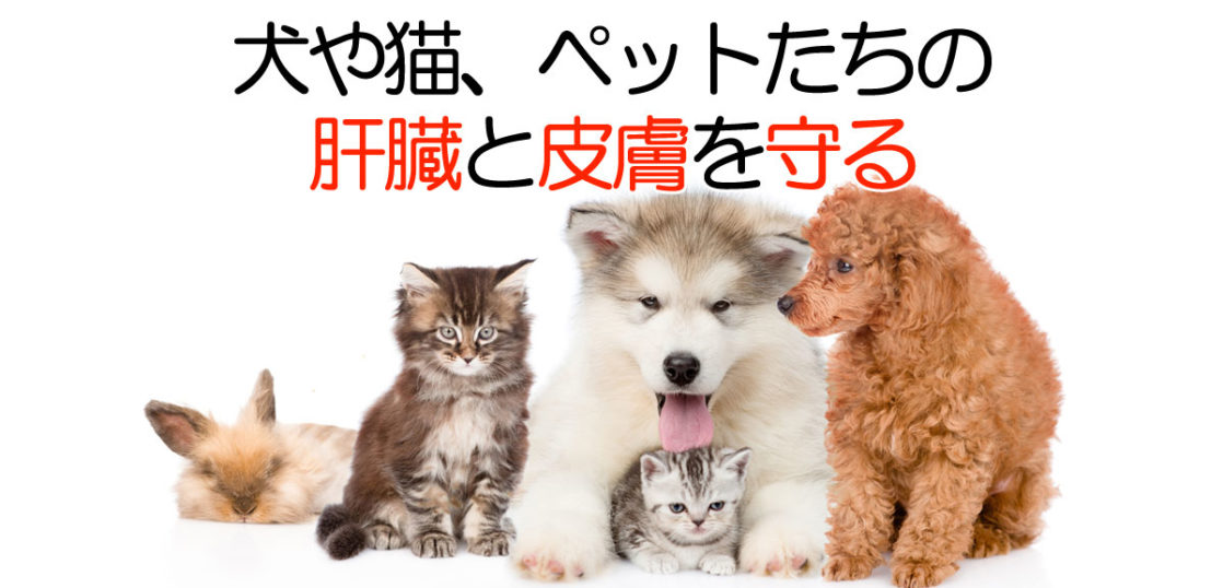 犬・猫・ペットのプラセンタ