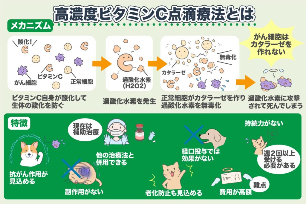 Qu'est-ce que la thérapie par perfusion de vitamine C à haute concentration